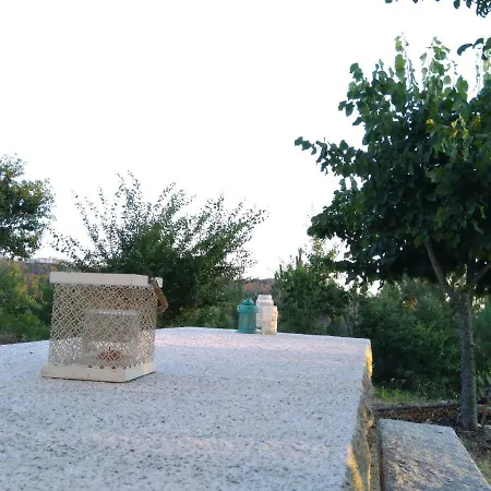 Cantinho Do Mel Castro Daire