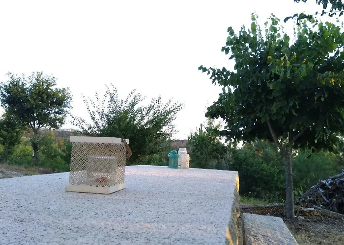 Cantinho Do Mel Castro Daire